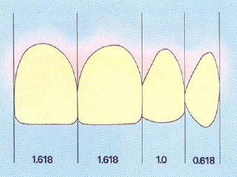 Golden proportion, orthodontics, orthodontist, georgia orthodontic care, lawrenceville, norcross, ga 30043